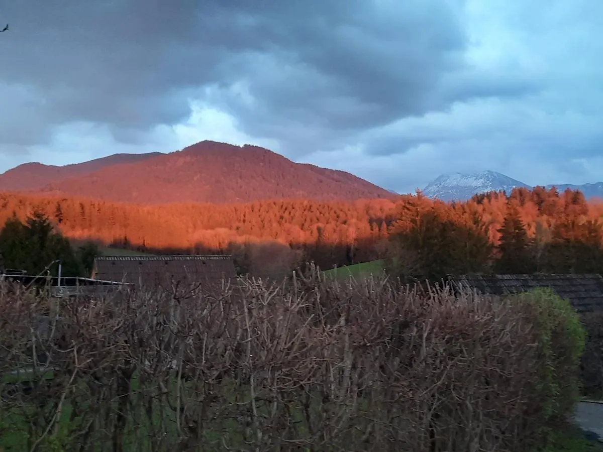 Haus Mit Bergblick Villa Siegsdorf 0*,